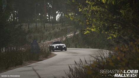 Sebastien Loeb Rally EVO Steam Key CIS - 30