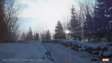 Sebastien Loeb Rally EVO Steam Key GLOBAL - 13