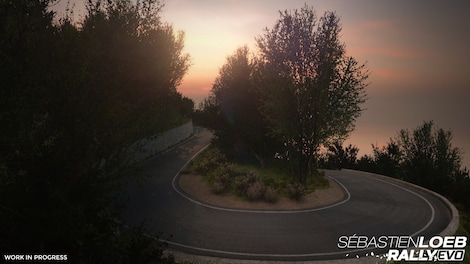 Sebastien Loeb Rally EVO Steam Key GLOBAL - 4