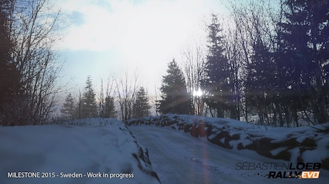 Sebastien Loeb Rally EVO Steam Key LATAM - 13