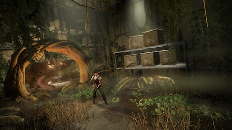 Secret World Legends: Dawn of the Morninglight Collector’s Edition (PC) - Steam Key - GLOBAL - 4