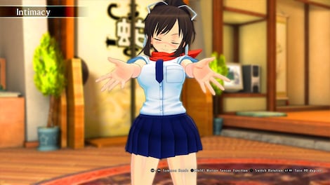 SENRAN KAGURA Burst Re:Newal (PC) - Steam Key - EUROPE - 3