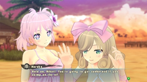 SENRAN KAGURA ESTIVAL VERSUS Steam Gift EUROPE - 7