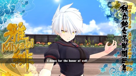 SENRAN KAGURA ESTIVAL VERSUS Steam Gift EUROPE - 4