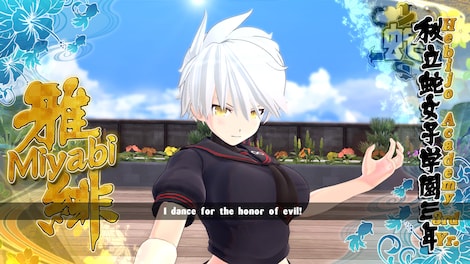 SENRAN KAGURA ESTIVAL VERSUS Steam Gift UNITED KINGDOM - 4