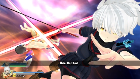 SENRAN KAGURA ESTIVAL VERSUS Steam Gift UNITED KINGDOM - 3