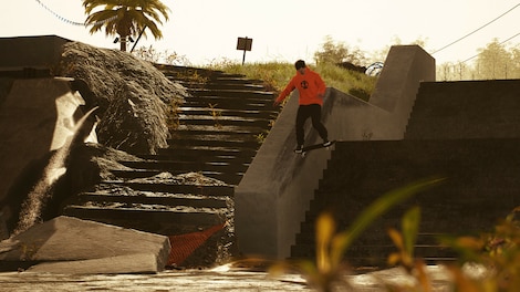 Session: Skate Sim Waterpark & Chris Cole (PC) - Steam Key - GLOBAL - 6