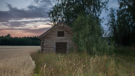 Shades of Black Steam Key GLOBAL - 8