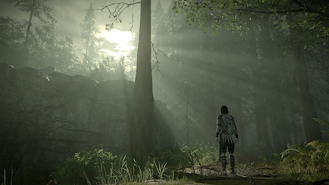 Shadow Of The Colossus (PS4) - PSN Account - GLOBAL - 5
