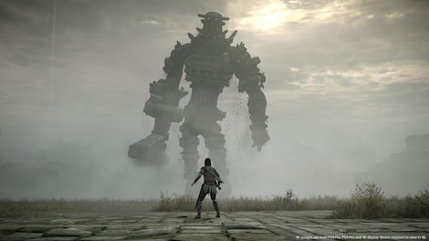 Shadow Of The Colossus (PS4) - PSN Account - GLOBAL - 6