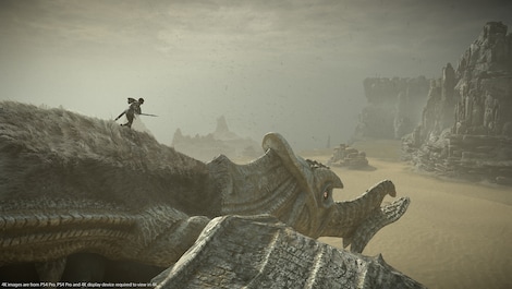 Shadow Of The Colossus (PS4) - PSN Account - GLOBAL - 8