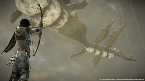 Shadow Of The Colossus (PS4) - PSN Account - GLOBAL - 10