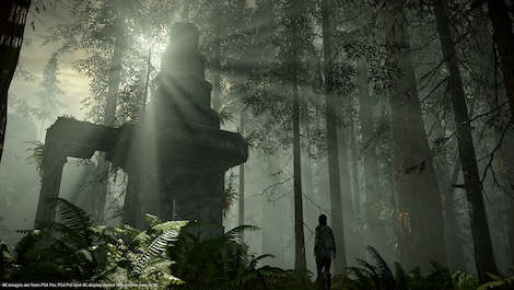 Shadow Of The Colossus (PS4) - PSN Account - GLOBAL - 12