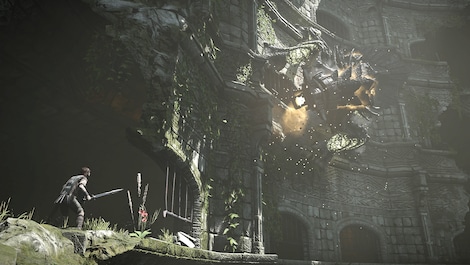 Shadow Of The Colossus (PS4) - PSN Account - GLOBAL - 13
