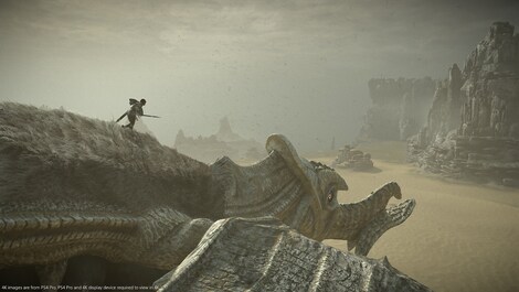 Shadow Of The Colossus PSN Key EUROPE - 8