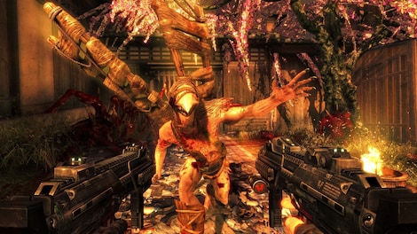 Shadow Warrior: Special Edition Steam Gift EUROPE - 6