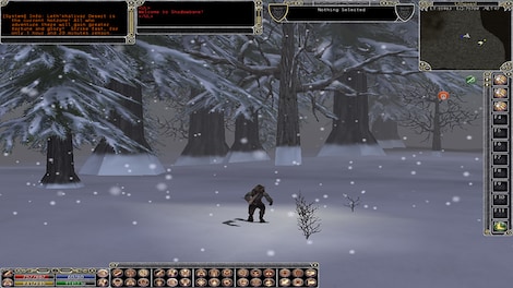 Shadowbane (PC) - Steam Key - GLOBAL - 0