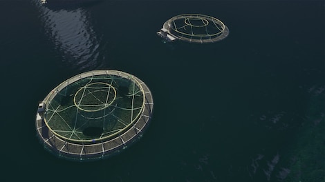 Ships at Sea (PC) - Steam Account - GLOBAL - 4