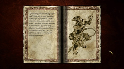 Siege of Avalon: Anthology (PC) - Steam Gift - NORTH AMERICA - 6