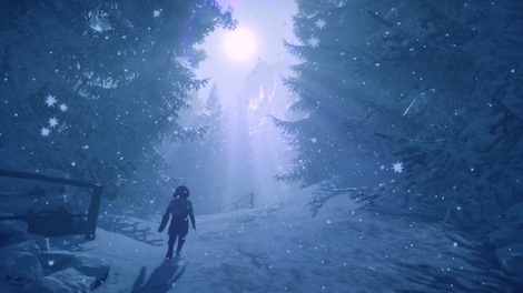 Skábma - Snowfall (PC) - Steam Account - GLOBAL - 4