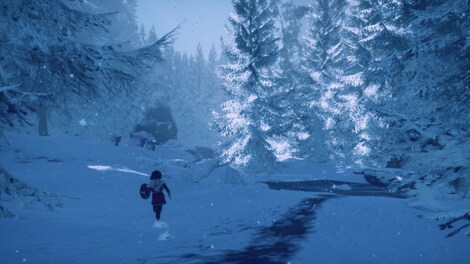 Skábma - Snowfall (PC) - Steam Account - GLOBAL - 10