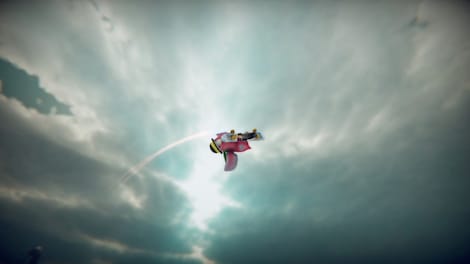 SkateBIRD (PC) - Steam Key - GLOBAL - 10