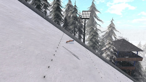 Ski Jumping World Cup (PC) - Steam Key - GLOBAL - 9