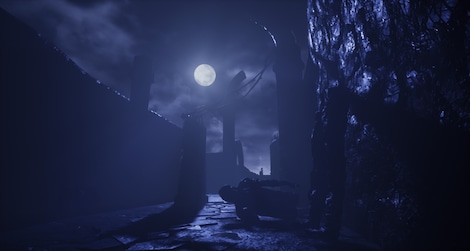 Sleeping Dawn Steam Key GLOBAL - 4