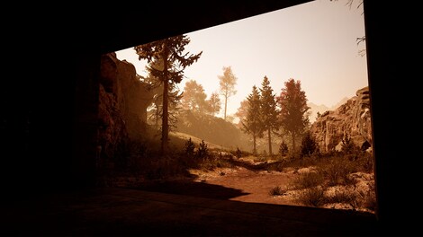 Slender: The Arrival - 10th Anniversary Update (Xbox Series X/S) - Xbox Live Key - ARGENTINA - 5