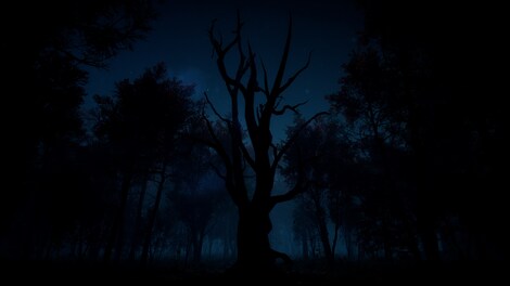 Slender: The Arrival - 10th Anniversary Update (Xbox Series X/S) - Xbox Live Key - ARGENTINA - 3