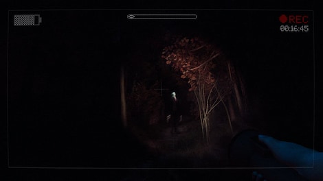 Slender: The Arrival Steam Key GLOBAL - 4