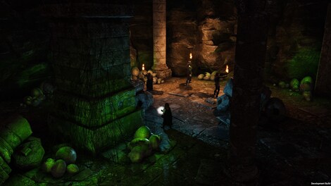 Solasta: Crown of the Magister (PC) - Steam Gift - NORTH AMERICA - 7