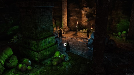 Solasta: Crown of the Magister (PC) - Steam Key - GLOBAL - 7
