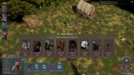 Solasta: Crown of the Magister - Primal Calling (PC) - Steam Gift - GLOBAL - 3