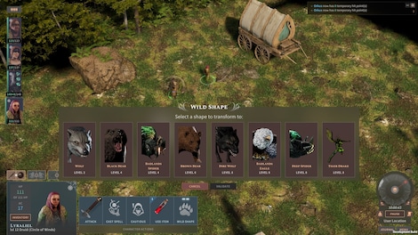 Solasta: Crown of the Magister - Primal Calling (PC) - Steam Key - GLOBAL - 3