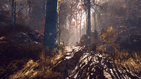 Someday You'll Return: Director's Cut (PC) - Steam Account - GLOBAL - 3
