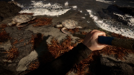Sons Of The Forest (PC) - Steam Key - EUROPE - 13
