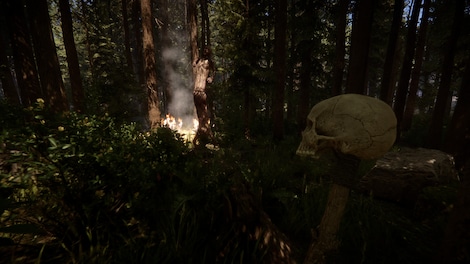 Sons Of The Forest (PC) - Steam Key - EUROPE - 12