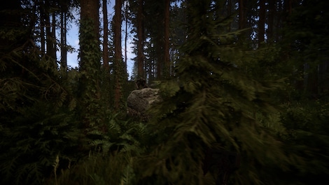 Sons Of The Forest (PC) - Steam Key - EUROPE - 11