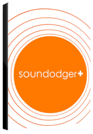 Soundodger Steam Key GLOBAL - 1