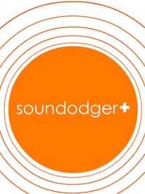 Soundodger Steam Key GLOBAL - 2