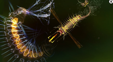 Sparkle 2 Evo (PC) - Steam Gift - GLOBAL - 7