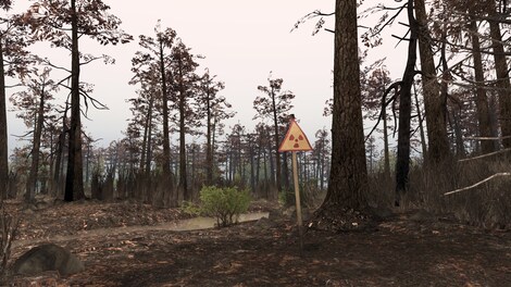 Spintires - Chernobyl - Steam Key - GLOBAL - 10