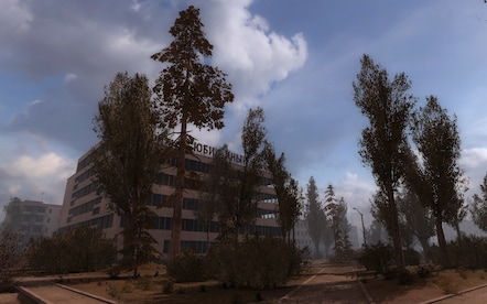 S.T.A.L.K.E.R. Call of Pripyat (PC) - Steam Key - EUROPE - 30