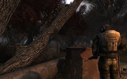 S.T.A.L.K.E.R. Clear Sky Steam Gift EUROPE - 0