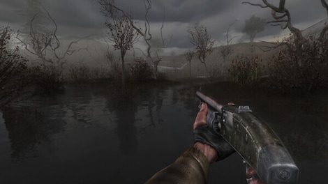 S.T.A.L.K.E.R.: Shadow of Chornobyl - Enhanced Edition (PC) - Steam Account - GLOBAL - 7