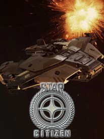 Star Citizen Ships - Paladin - Standalone Ship (PC) - MMOPIXEL Player Trade - GLOBAL - 1