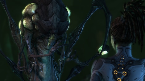 Starcraft 2: Heart of the Swarm Battle.net Key GLOBAL - 19