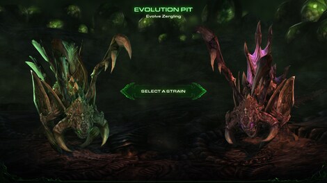 Starcraft 2: Heart of the Swarm Key Blizzard EUROPE - 24