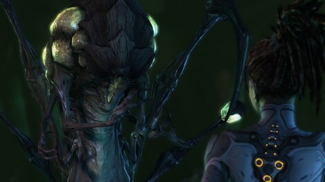 Starcraft 2: Heart of the Swarm Key Blizzard EUROPE - 25